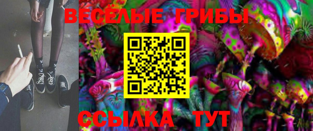 Галлюциногенные грибы мицелий Междуреченск